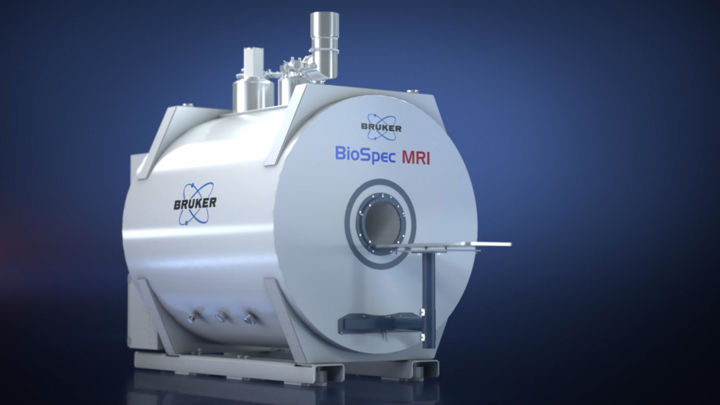 Bruker BioSpec MRI