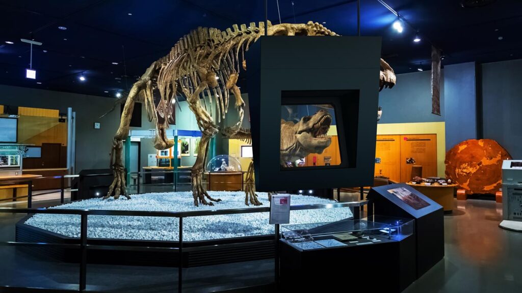 Beim Blick durch das Augmented Reality Head-Up-Display werden im Museum bzw. der Ausstellung Dinosaurier wie der T-Rex lebendig und erscheinen scheinbar frei im Raum.